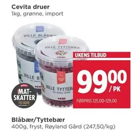 Mat - Blåbær/Tyttebær