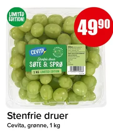 Stenfrie druer