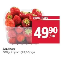 Jordbær