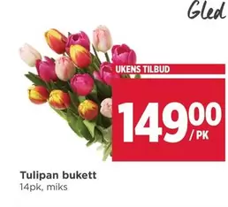 Tulipan bukett