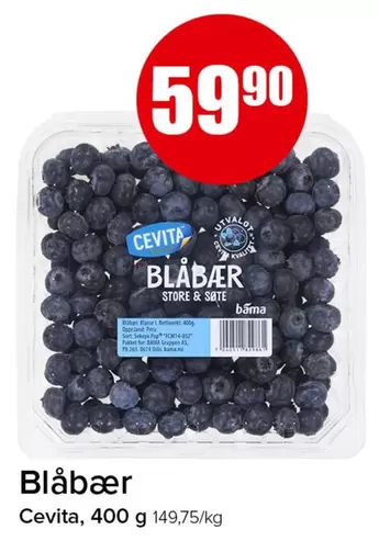 Bama - Blåbær