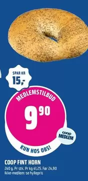 FINT HORN