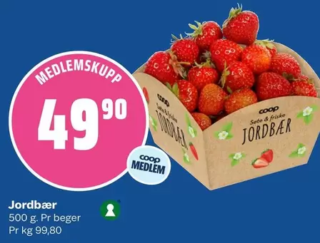Jordbær