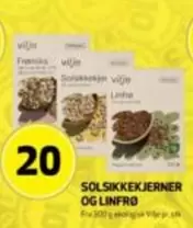 SOLSIKKEKJERNER OG LINFRO