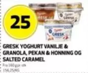 Granola - GRÆSK YOGHURT VANILJE & GRANOLA, PEKAN & HONNING OG SALTED CARAMEL