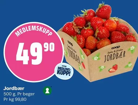 Jordbær