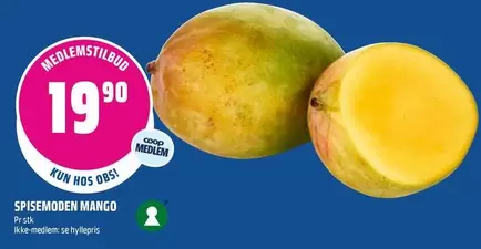 SPISEMODEN MANGO