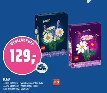 LEGO Botanicals Pynteblomster 1514 / LEGO Botanicals Prestekrager 11508