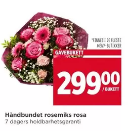 Hånbundet rosemiks rosa
