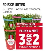 FRISKE URTER