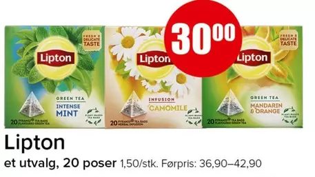 Orange - et utvalg, 20 poser