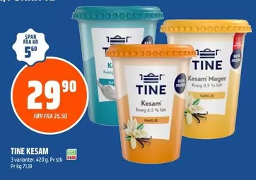 Tine Kesam