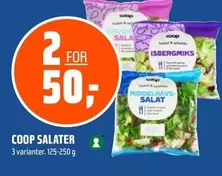 COOP SALATER