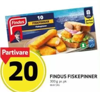FISKEPINNER