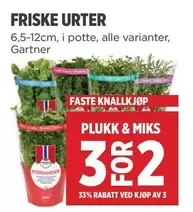 FRISKE URTER