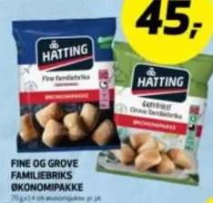 FINE OG GROVE FAMILIEBRIKS