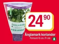 Koriander