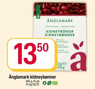 kidneybønner