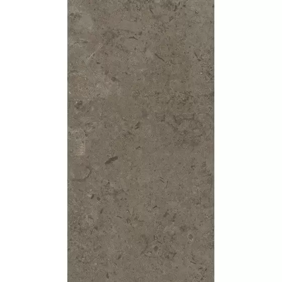 Limestone Taupe Rect. 30x60 cm
