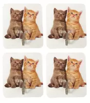 Knagger katt 4 stk.