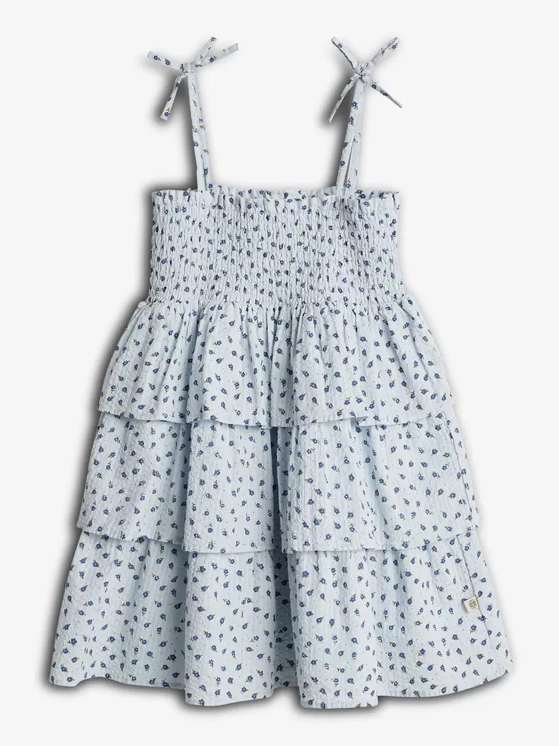 Flower Print Ruffle Dress Blue Flower