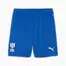 Al-Hilal SFC 24/25 Shorts Men