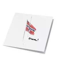 Store kunstkort norsk flagg