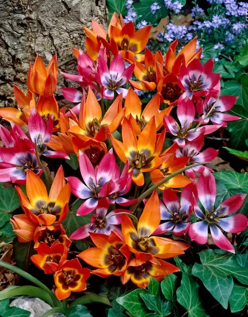 Nmiks Little Treasures