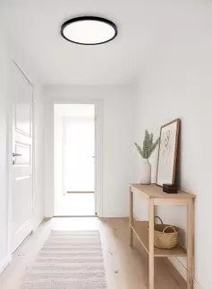 Håkon taklampe Ø40 dimbar - sort