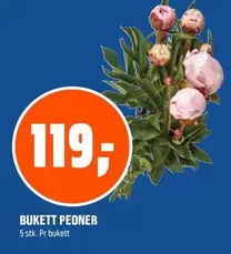 BUKETT PEONER