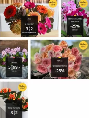 Floriss-katalog i Tysnes | Medlems- tilbud! | 2025-11-03T00:00:00.000Z - 2025-11-09T00:00:00.000Z