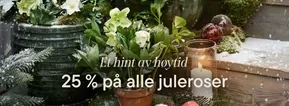 Plantasjen-katalog | 25% på alle juleroser | 2025-11-05T00:00:00.000Z - 2025-11-19T00:00:00.000Z