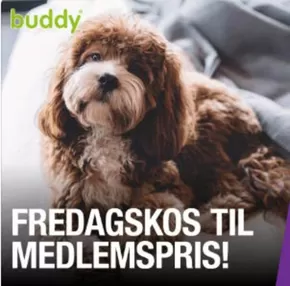 Buddy-katalog i Neverdal | Fredagskos til medlemspris! | 2025-11-07T00:00:00.000Z - 2026-02-28T00:00:00.000Z