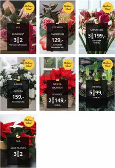 Floriss-katalog i Oslo | Medlems- tilbud! | 2025-11-25T00:00:00.000Z - 2025-11-30T00:00:00.000Z