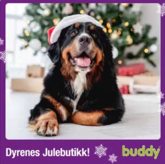 Buddy-katalog i Oslo | Dyrenes Julebutikk! | 2025-11-25T00:00:00.000Z - 2025-12-07T00:00:00.000Z
