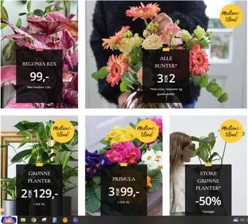 Floriss-katalog i Namsos | Ukens tilbud | 2026-01-22T00:00:00.000Z - 2026-01-29T00:00:00.000Z