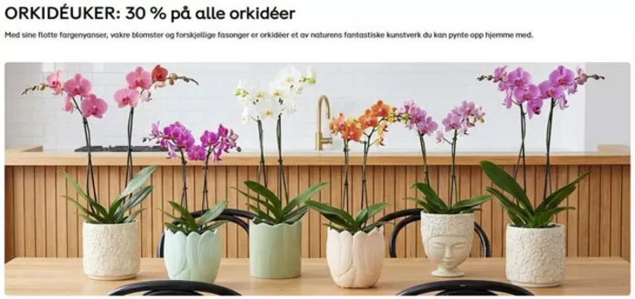 Plantasjen-katalog i Mandal | 30% på alle orkidéer | 2026-01-22T00:00:00.000Z - 2026-01-25T00:00:00.000Z