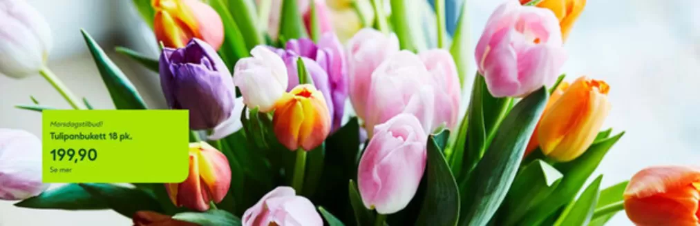 Hageland-katalog i Heimdal | Tilbud | 2026-02-04T00:00:00.000Z - 2026-02-11T00:00:00.000Z