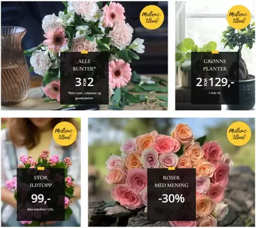 Floriss-katalog i Ål | Ukens tilbud | 2026-02-16T00:00:00.000Z - 2026-02-22T00:00:00.000Z