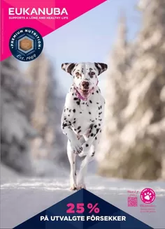 Eukanuba-katalog i Sandvika | Nå får du 25% rabatt på utvalgte varianter av tørrfôr | 2026-02-17T00:00:00.000Z - 2026-02-28T00:00:00.000Z