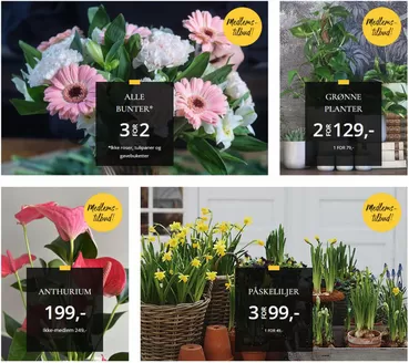 Floriss-katalog i Rud | Ukens tilbud | 2026-03-02T00:00:00.000Z - 2026-03-08T00:00:00.000Z