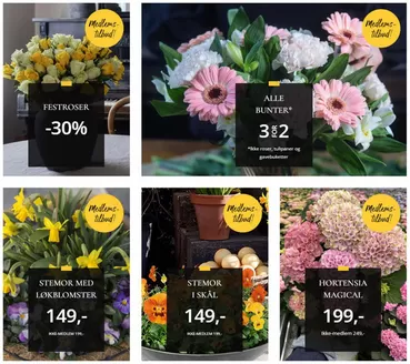 Floriss-katalog i Tromsø | Ukens tilbud | 2026-03-17T00:00:00.000Z - 2026-03-22T00:00:00.000Z