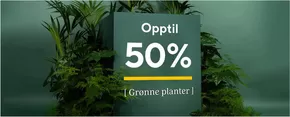 Opptil 50%