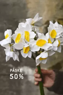 Dorothea-katalog i Kolvereid | Paske 50% | 2026-04-03T00:00:00.000Z - 2026-04-17T00:00:00.000Z