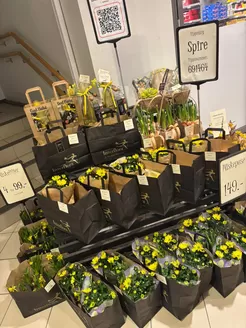 Spire Blomsterhåndverk-katalog i Drammen | Spire Blomsterhåndverk Salg | 2026-04-07T00:00:00.000Z - 2026-04-21T00:00:00.000Z