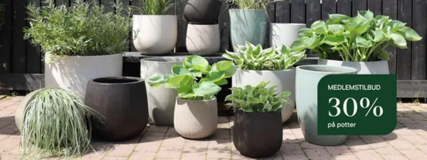 Plantasjen-katalog i Eigersund | Plantasjen Promo | 2026-05-21T00:00:00.000Z - 2026-06-04T00:00:00.000Z
