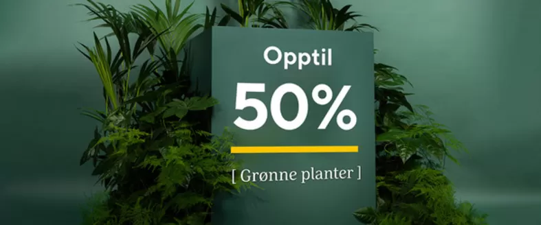 Mester Grønn-katalog | Mester Grønn Promo | 2026-07-28T00:00:00.000Z - 2026-08-11T00:00:00.000Z