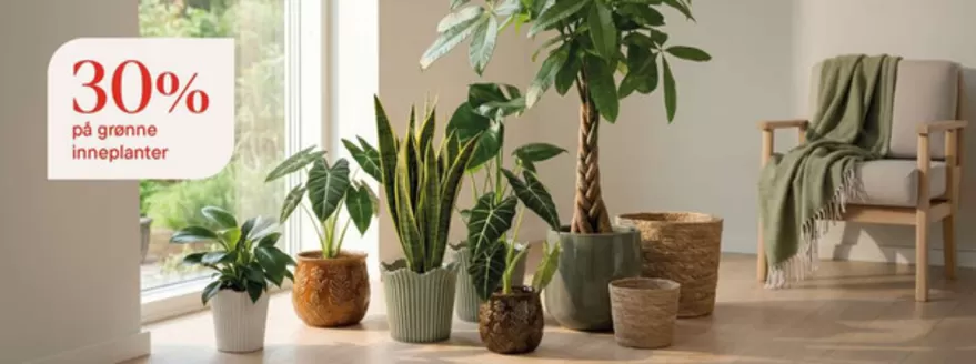 Plantasjen-katalog i Oppaker | Plantasjen Promo | 2026-08-13T00:00:00.000Z - 2026-08-27T00:00:00.000Z