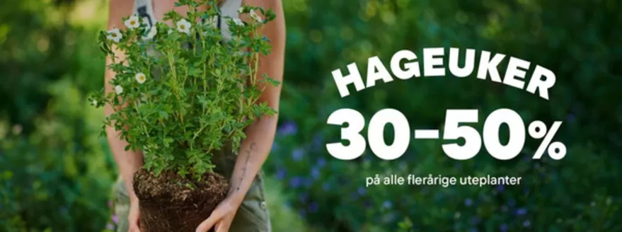 Plantasjen kundeavis i Harstad | Hageuker | 2026-09-08T00:00:00.000Z - 2026-09-22T00:00:00.000Z