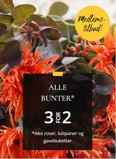 Floriss-katalog | Floriss Salg | 2026-10-20T00:00:00.000Z - 2026-11-03T00:00:00.000Z